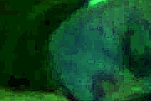 Amateur deepthroat blowjob with sloppy techniques