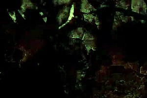 vintage erotic drawings come to life in retro style