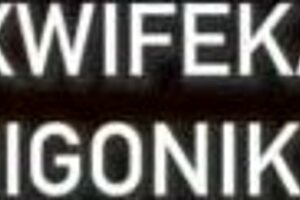 Party Encounter With Someone Else's Partner