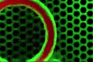 chad pours his sperm all over natalia starrs pretty face after sex