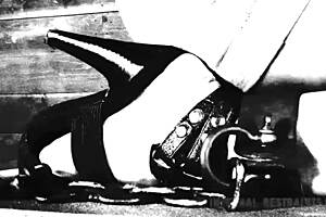 Caged Up Beauty Gives Stud Wild Pecker Sucking