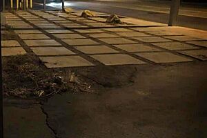 Teen 18+ Endures Rough Anal Gag and Cum Milking Bondage