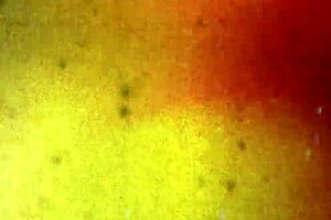 bobs tgirls asking if you missed ravena solstice's goth solo session 😏