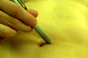 Fifi Foxx Plays With Belly Button Topless