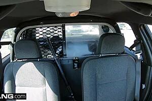 Public sex with a naughty girl in a police car
