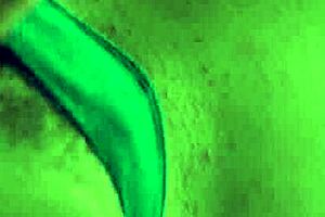 jillian janson's first anal experience, how tight is that ass?