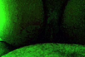 Ebony amateur with wet pussy and big ass gets jumped off.