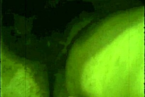 My Secret Life Unveils the Greatest Erotic Vintage Story