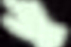 let's dive into this dungeon test facing cute furry enemies