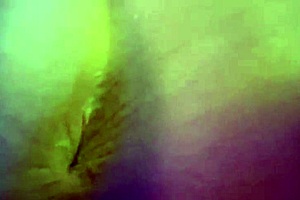 Lesson Over Xxx Music Video By The D3ad Rac3r Featuring Bubblebutt Pawg Cheetah Adora