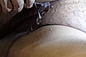 Naughty Brazilian couple part 7 😏