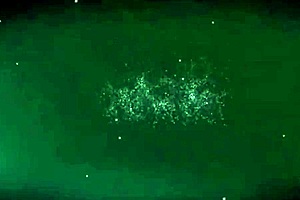 Blonde sweetheart dreams sweetly.