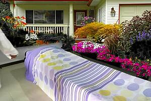 Preview of taking care of my baby with agarabas and olpr