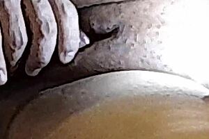 Naughty Brazilian couple part 7 😏