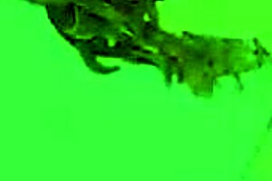 Masumi Sera And Momiji Ooka In Intense Sex With Big Tits Creampie