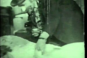 Hey, ever seen vintage taboo family confessions from a Victorian gentleman’s secret life?