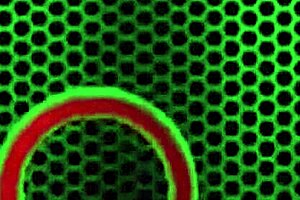 curvaceous latina angelina castro rides her teddy bear with big clit