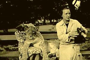 Vintage Erotic Illustration Collection