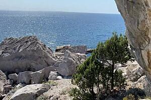 Homemade Couple Fucks In Forest Woods