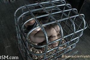 Clamping beautys knockers