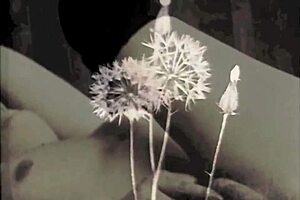 Who is the real beast in this beauty?