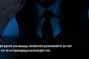 fashionbusiness girl quadrober e2 32 3d cartoon game