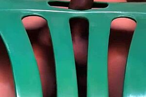 I Love Fucking That Chair!