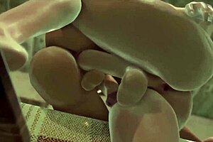 3D Futa Anal Action in Wild Animated Scene. Cartoon Heat Unleashed!