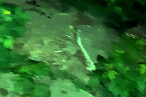 i caught my neighbor jerking in public toilet