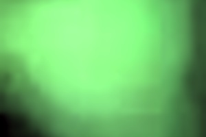 Favorite white woman sucking my dick