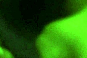 the lightskin amateur gives a close-up blowjob, sucking deep and swallowing every drop