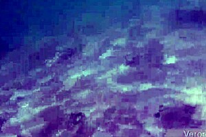 German Teen Flashes On The Beach