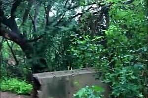 big boy pleasing you hard