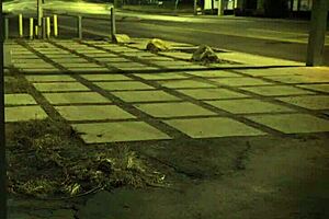 Extreme B Compilation Xxx Unless Youre From The Sixties And