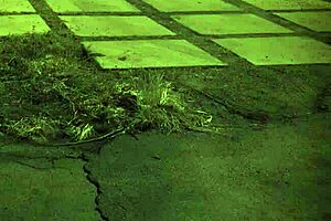 Extreme B Compilation Xxx Unless Youre From The Sixties And