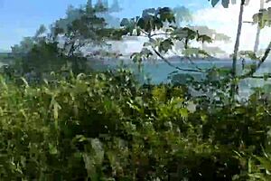 bruna black cuckolds joy cardozo on beach gangbang