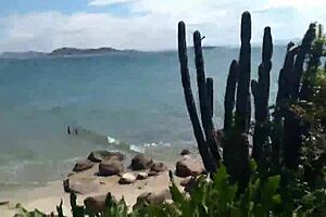 bruna black cuckolds joy cardozo on beach gangbang