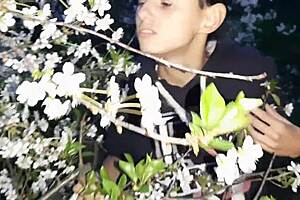 i met a stranger at the park and we had sex at my house