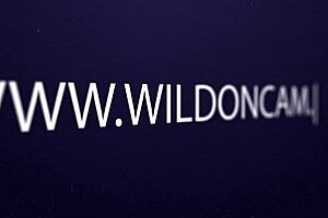 Petite brunette fingers her wet pussy with vibrator