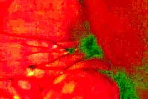 Angelg And Kuzz Halloween Special Part 2 - Fat BBW Couple Interracial Monster Cock