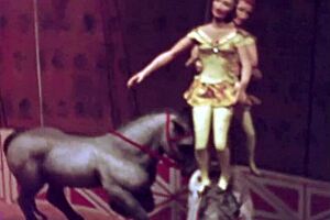 vintage erotic art collection