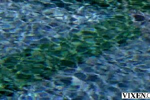 Vixen She Takes The Plunge And Lives Out Her Fantasy With Big Tits And Brunette Riding!