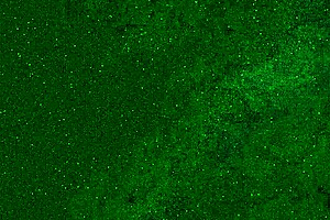 Young Girl Pees in Jeans and Receives Golden Shower on Face and Mouth