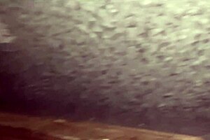 Street Babe Pushes Items Up Shaved Pussy