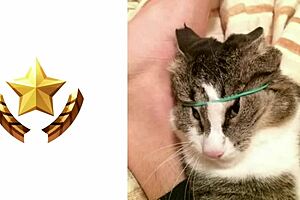 Top 5 countries with loudest stomach rumbles in cartoons