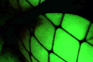 My Friend Returns And I Miss Him Already