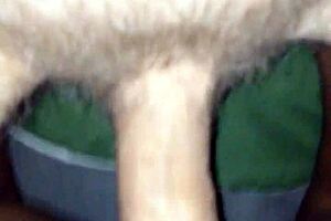 Sexy Red Bone Gets A Hard Cock