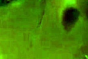 two lesbians have sex in 3d animation erotica!