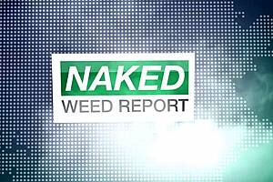 Nwr Episode 4 Striptease And Nude Scenes