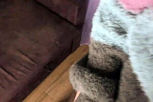 Huge cock lover talks to wife on phone